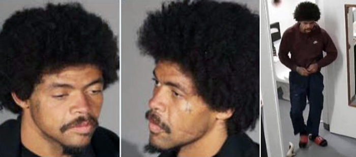 LAPD rape Davis