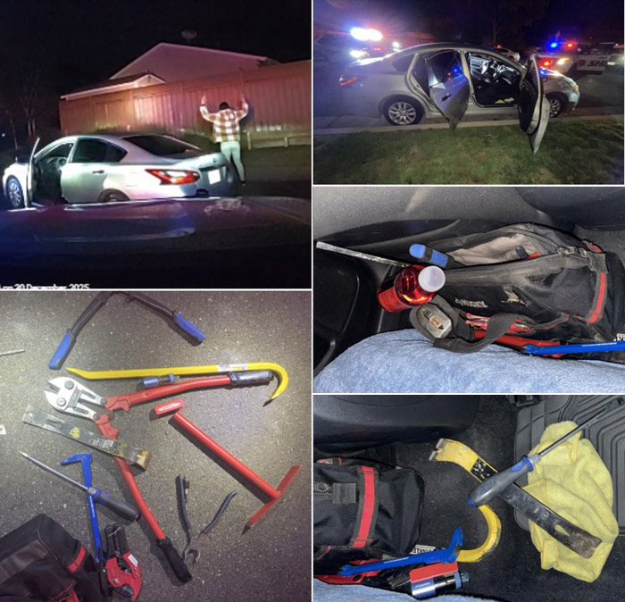 SCSO burglary