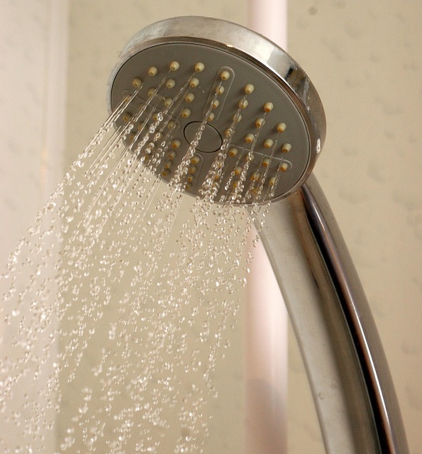 shower 653671 640 showerhead