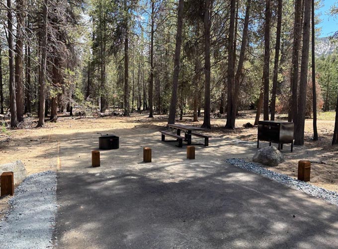 sierra national forest