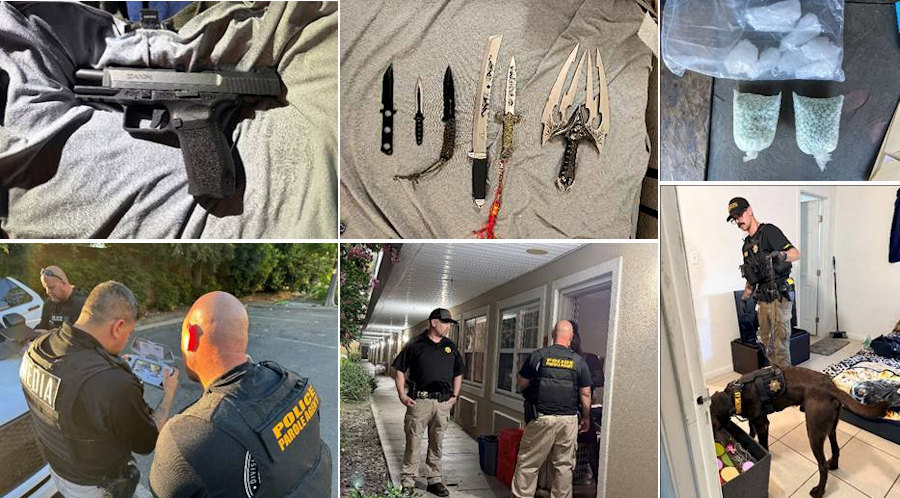 CDCR operation golden grizzly