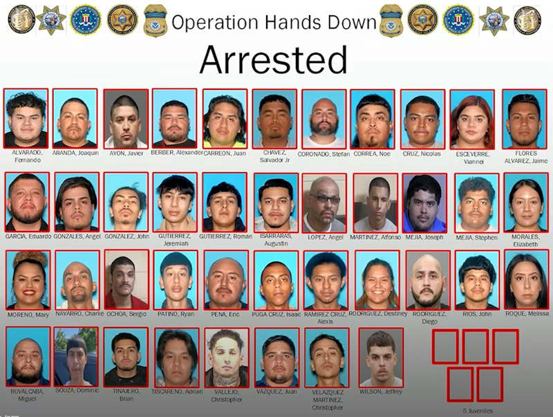 FCSO multiple arrests