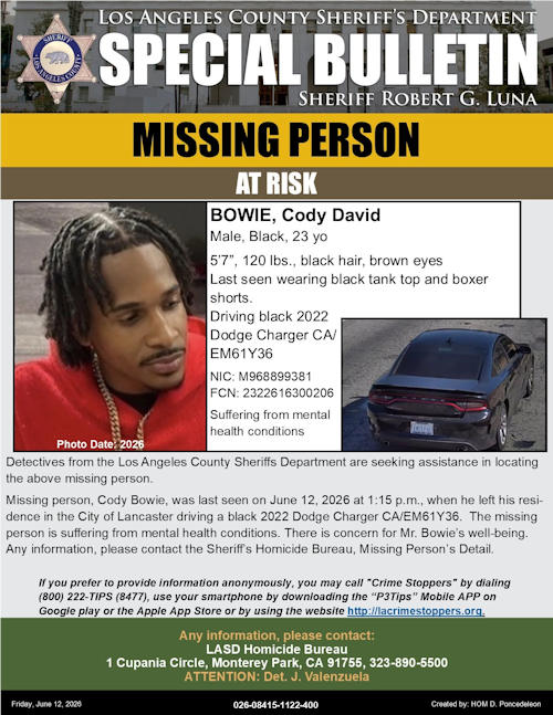 LASD missing Bowie