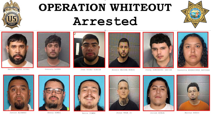 YCSO arrests