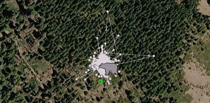 cdfw609 ArnoldBearReleaseCluster