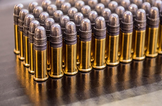 lead bullets