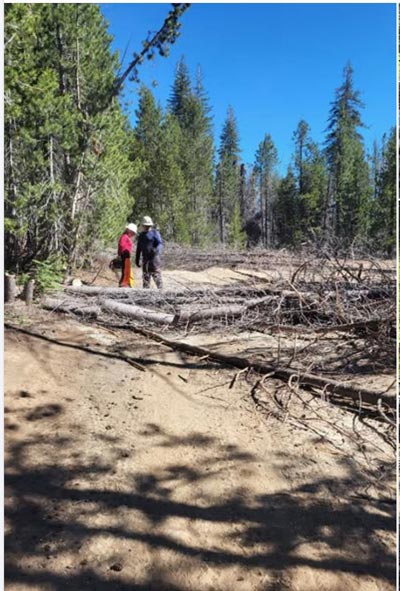 sierra national forest