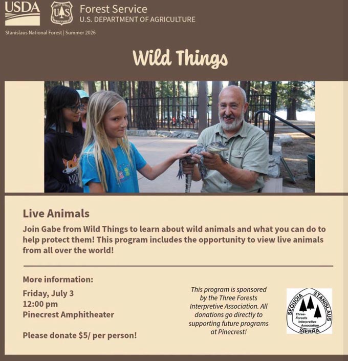 Stanislaus National Forest  wild things