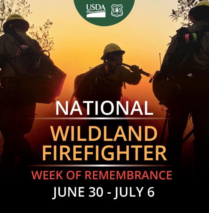 stanislaus national forest