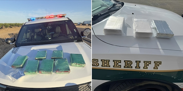 FCSO drugs