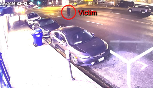 LAPD hit and run