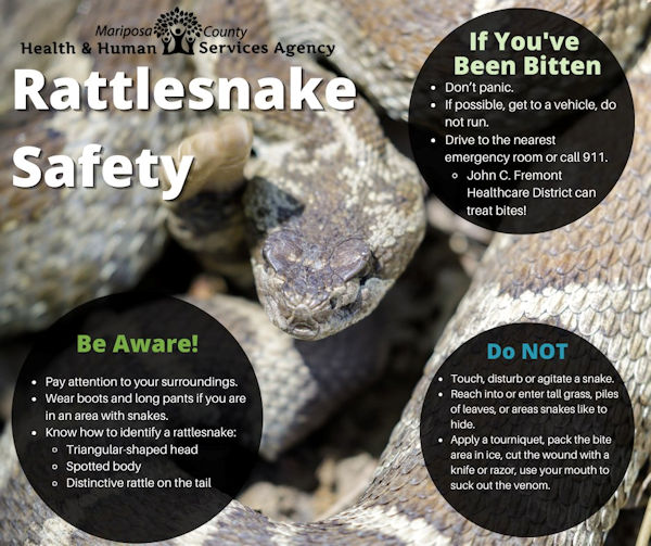 MHHS snake