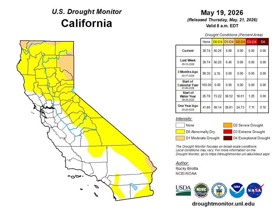 ca20260519 ca trd