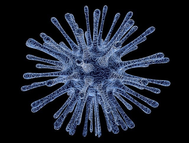 cancer cell bacteria publicdomainpictures virus 213708 640