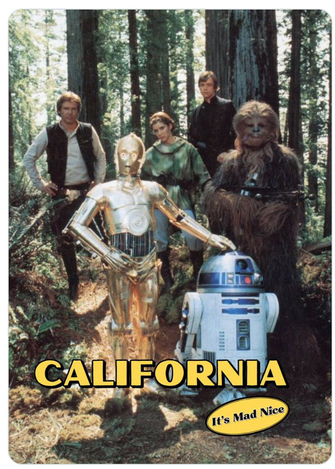 newsom504 may the force be with you on may 4