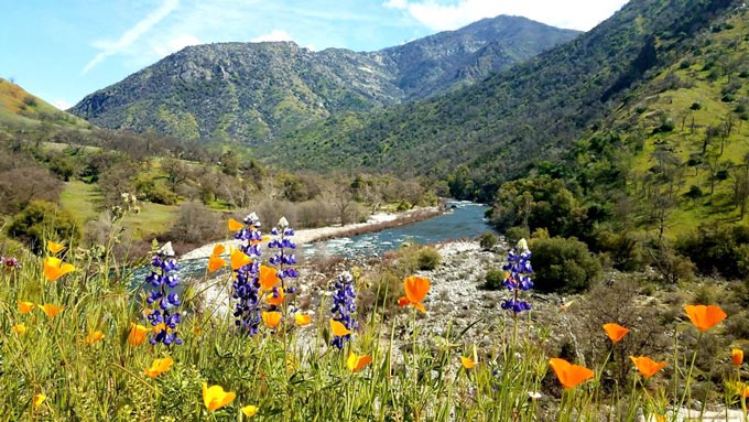 sierra national forest credit usda2026
