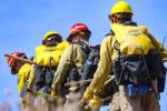 National Fire News for Wednesday, June 5, 2024 - Currently, 10 Large, Uncontained Wildfires Have Burned 48,313 Acres in Five States. Arizona Has Three, California, Florida and New Mexico Each Have Two, and Alaska Has One