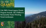 CAL FIRE’s Forest Legacy Grants Program Awards Over $8.5 Million to Protect Critical Forestlands Across California