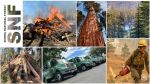 U.S. Forest Service Announces Sierra National Forest Prescribed Fire Update Across Fresno, Madera, and Mariposa Counties