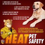 CAL FIRE Issues Heat Safety Warning for Your Pets - Even 10 Minutes in a Hot Car Can be Deadly