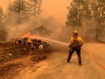 Center for Biological Diversity Reports More Than 90 Organizations Urge California Governor Gavin Newsom Not to Support 'Dangerous' Wildfire Bill