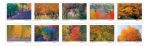 Postal Service Announces Autumn Colors Forever Stamps to Be Issued at Great American Stamp Show