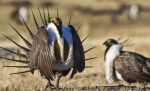 Center for Biological Diversity Reports U.S. House Passes Funding Bill Containing Historic Number of 'Attacks' on Environment, Endangered Species